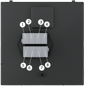 Rückseite Numerierung.png